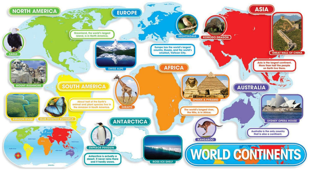 World Continents Bulletin Board (37 pieces) купить