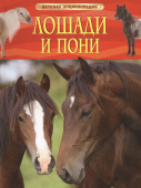 Лошади и пони. Детская энциклопедия купить