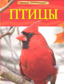 Птицы. Детская энциклопедия купить