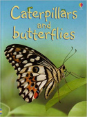 Usborne Beginners Caterpillars and Butterflies купить