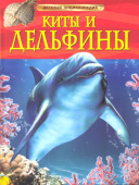 Киты и дельфины. Детская энциклопедия купить