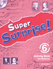 Super Surprise! 6 Activity Book and Multi-rom Pack купить