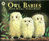 Owl Babies купить