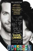 Quick Matthew. The Silver Linings Playbook купить