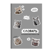 Тетрадь для записи иностранных слов СТИКЕРЫ С КОТАМИ (А5, 24 листа, обложка - мелованный картон) купить