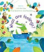 Usborne Lift-the-Flap First Questions & Answers What are Feelings? купить