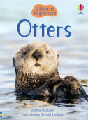 Usborne Beginners Otters купить