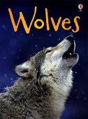 Usborne Beginners Wolves купить