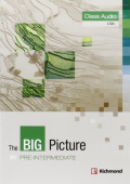 The Big Picture Pre-Intermediate Class CD купить