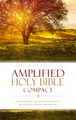 Amplified Holy Bible, Compact, Hardcover : Captures the Full Meaning Behind the Original Greek and Hebrew купить