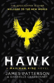 Hawk A Maximum Ride Novel купить