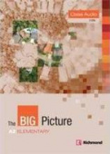 The Big Picture Elementary Class CD купить