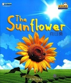 Cool Panda Chinese Teaching Resources for Young Learners. Weather & Seasons - The Sunflower (Big book) купить