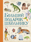 Большой подарок школьнику купить