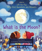 What is the Moon? купить
