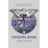 Theodore Boone, book 1 купить
