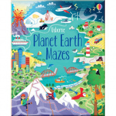 Planet Earth Mazes купить