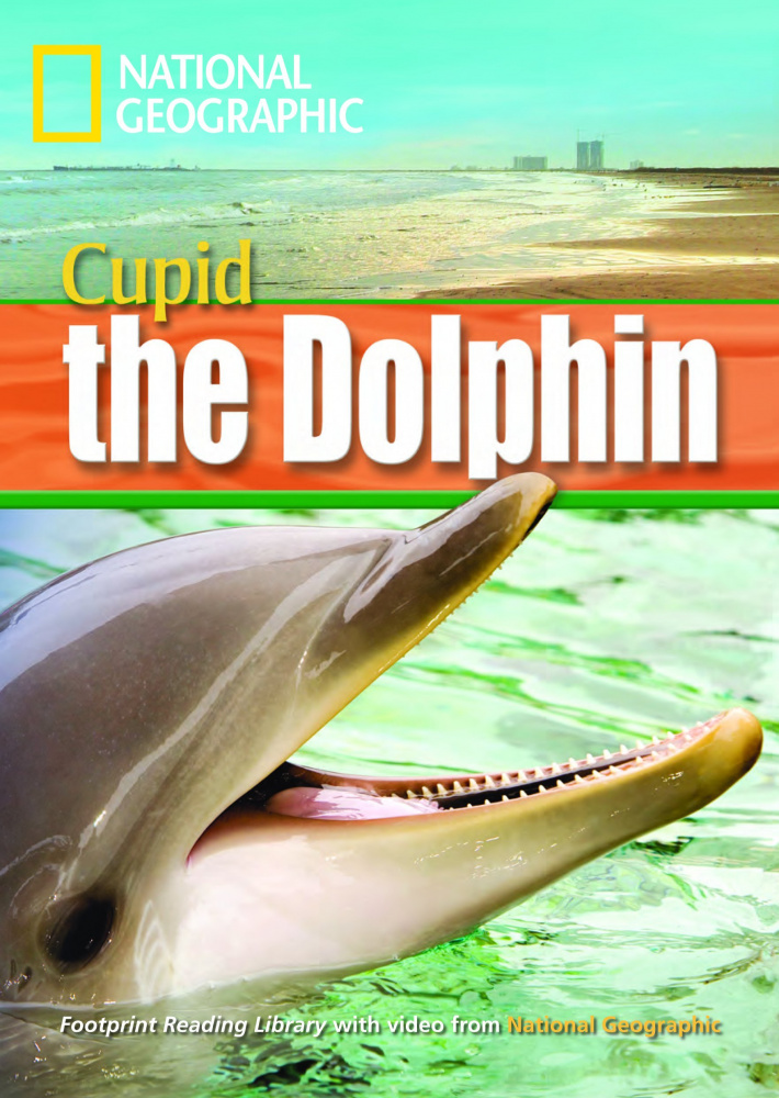 Fotoprint Reading Library B1 A Dolphin Named Cupid купить