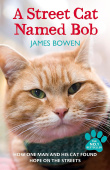 A Street Cat Named Bob купить