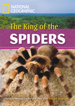 Fotoprint Reading Library C1 The King Of The Spiders купить