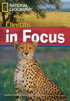 Fotoprint Reading Library B2 Cheetah Chase! купить