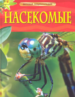 Насекомые. Детская энциклопедия купить