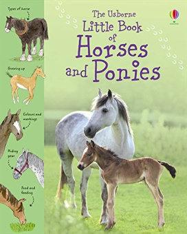 Little Book of Horses and Ponies купить