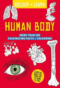 Colour + Learn: Human Body купить