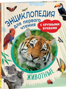 Животные. Энциклопедия для первого чтения с крупными буквами купить