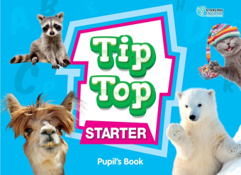 Tip Top Starter Flashcards купить