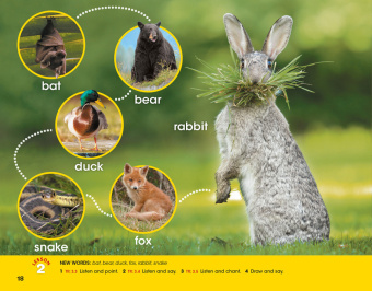 Look and See 2: Flashcards купить