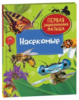 Насекомые. Первая энциклопедия малыша купить