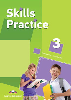 Skills Practice 3 Student's Book купить