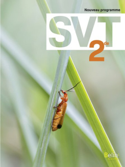 SVT 2de купить