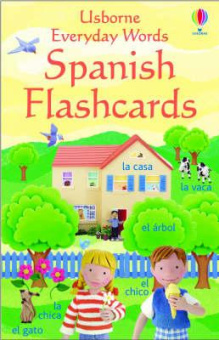Everyday Words in Spanish : (Everyday Words Flashcards) купить