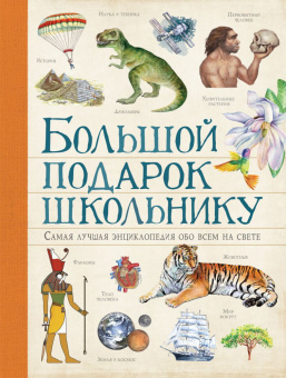 Большой подарок школьнику купить