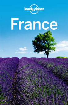 France country guide (9th Edition) купить