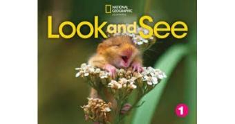 Look and See 1: Flashcards купить