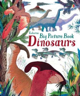 Big Picture Book of Dinosaurs купить