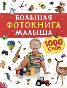 Большая фотокнига малыша. 1000 слов купить