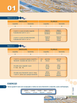 Via della Grammatica купить