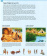 A City Through Time купить A City Through Time купить