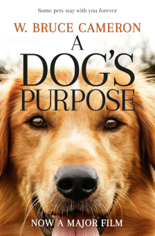 A Dog's Purpose купить