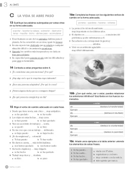 Vitamina B2 Cuaderno de ejercicios + licencia купить