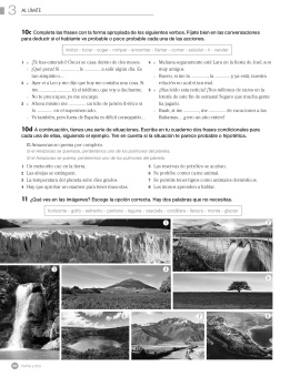 Vitamina B2 Cuaderno de ejercicios + licencia купить
