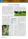 Mosaico Italia + Tracce audio, QR code купить