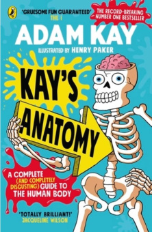 Kay's Anatomy купить