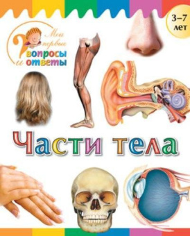 Мои первые вопросы и ответы. Части тела купить