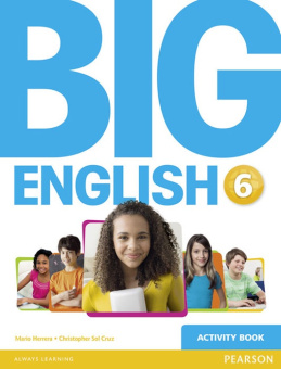 Big English 6 Activity Book купить