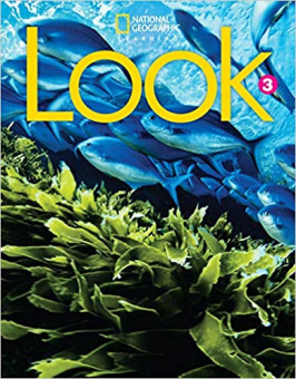 Look 3  Workbook купить